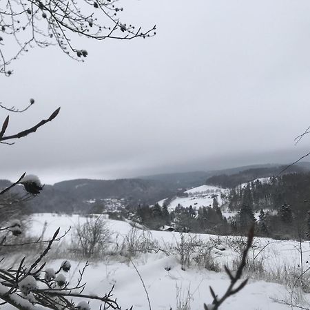 Bergchalet La Roubine Willingen Neerdar Kültér fotó