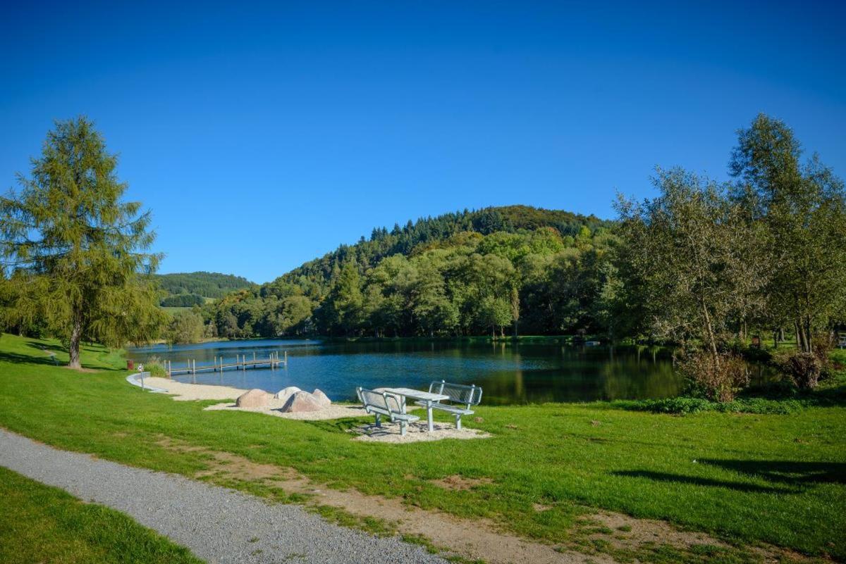 Bergchalet La Roubine Willingen Neerdar Kültér fotó