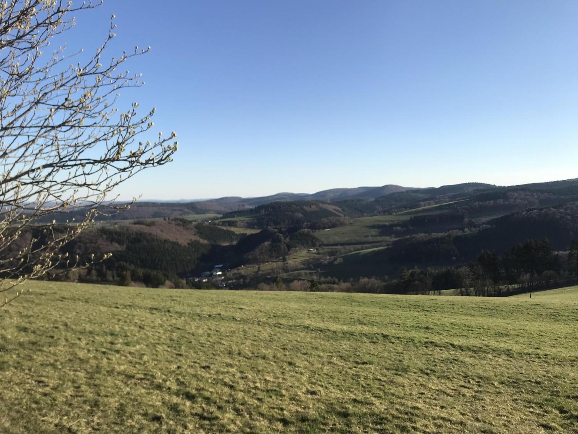 Bergchalet La Roubine Willingen Neerdar Kültér fotó