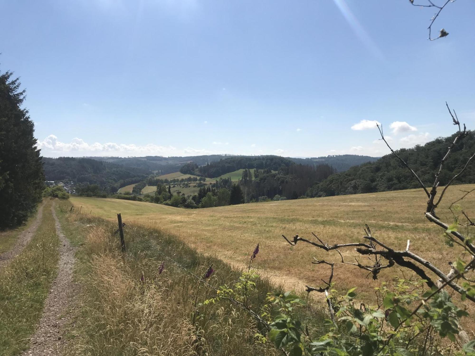 Bergchalet La Roubine Willingen Neerdar Kültér fotó